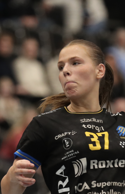 Skärmavbild 2026 04 20 Kl. 14.45.21